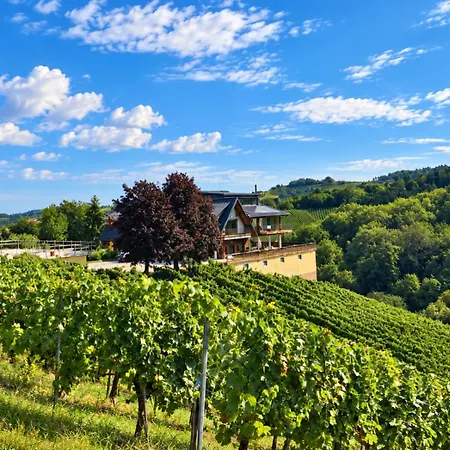 Guest house Weingut K14 Leutschach